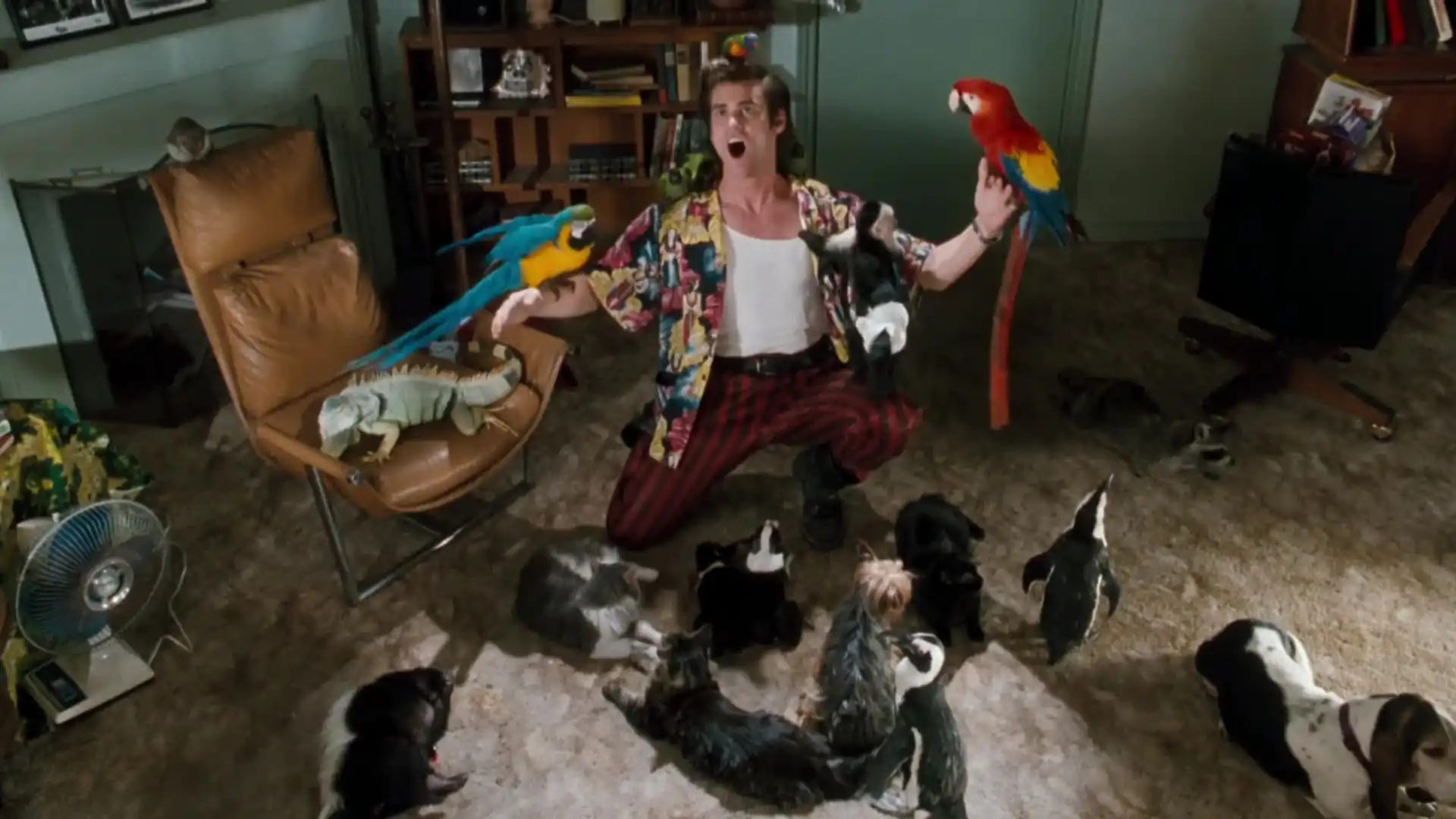 Ace Ventura: Pet Detective - Come to me, jungle friends
