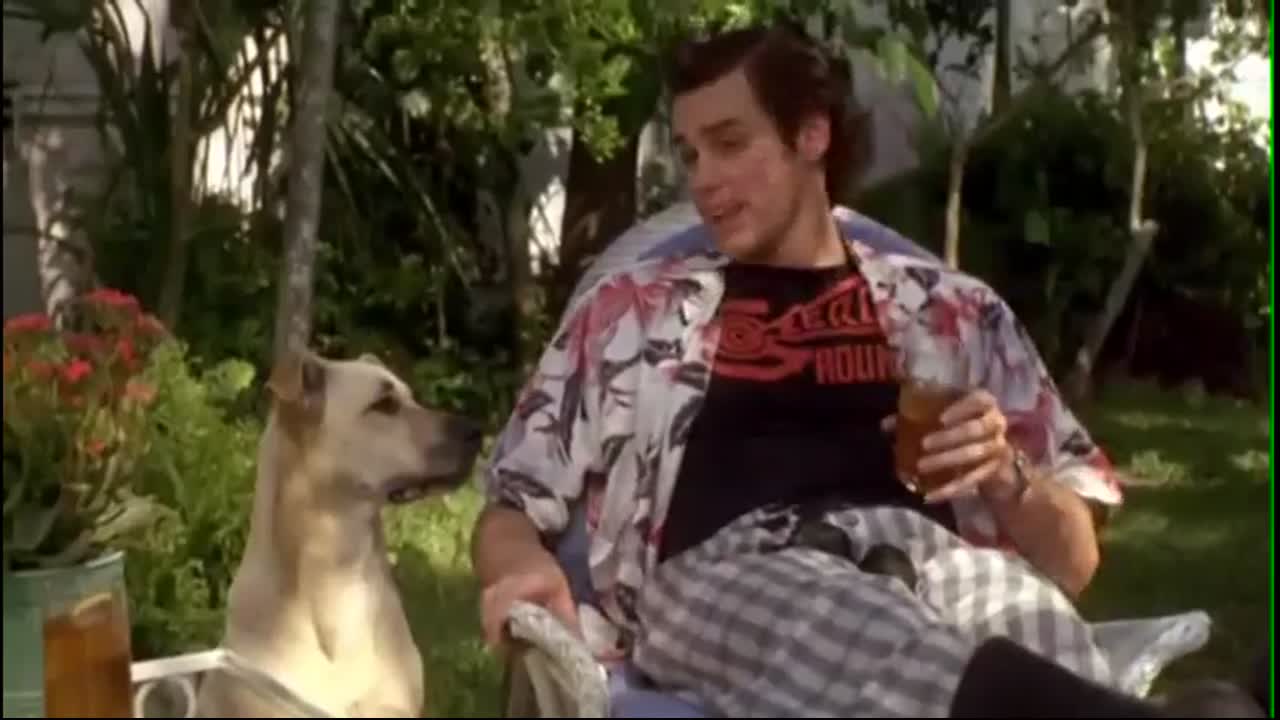 Ace Ventura - Yeah and You’re Ugly