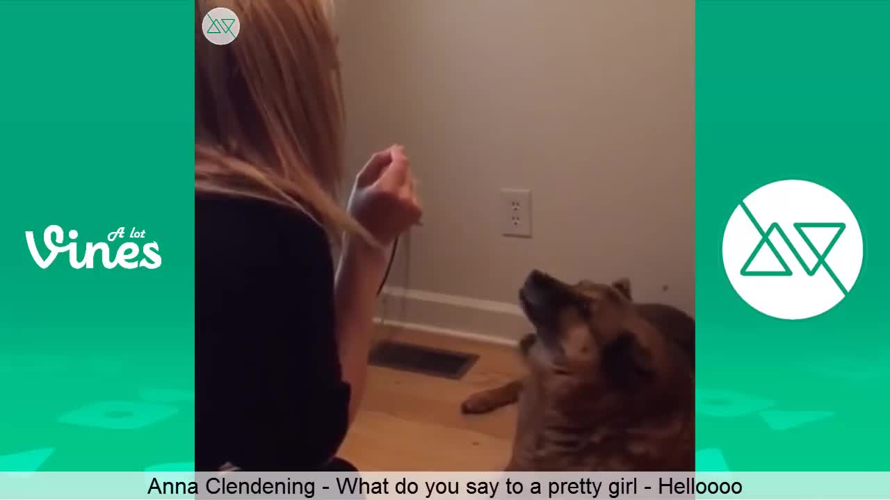 Anna Clendening Vine Hello