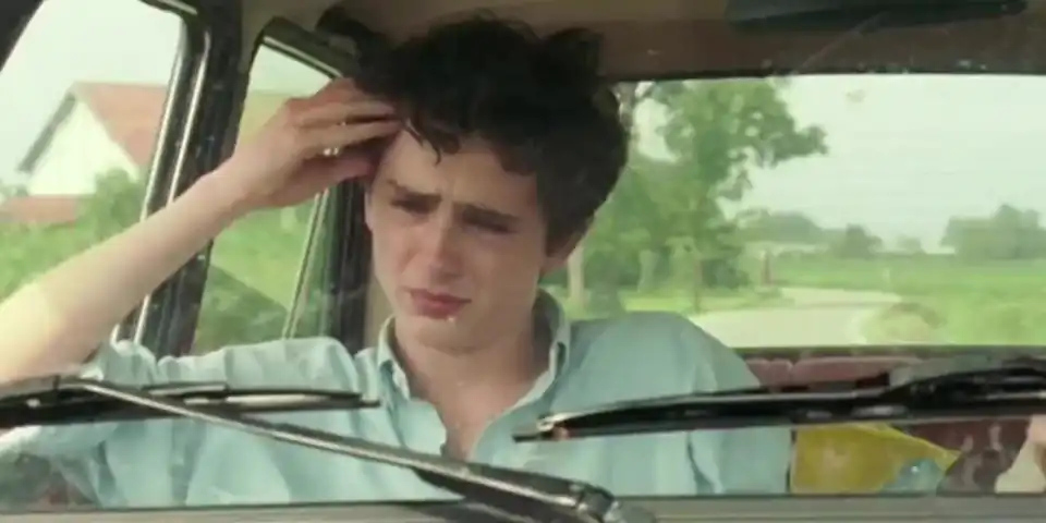Call Me By Your Name - Crying in the car