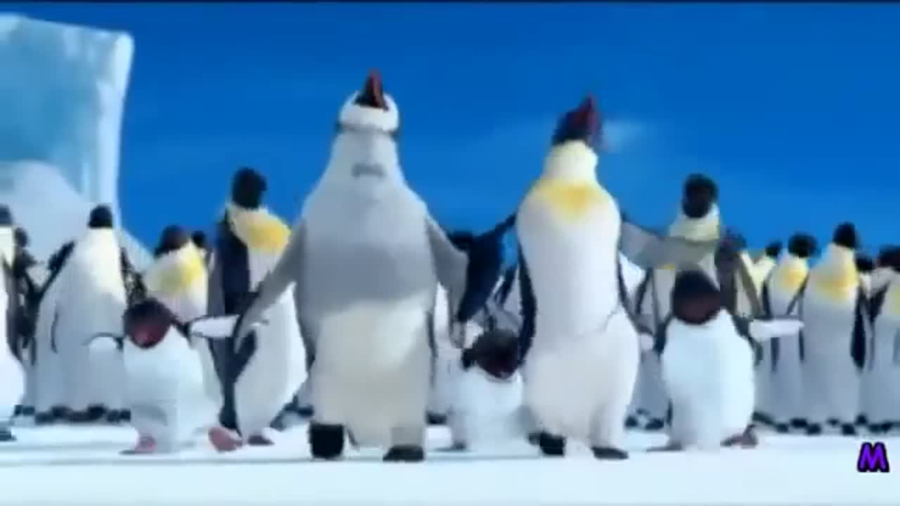 Dancing Penguins - Happy Birthday Song