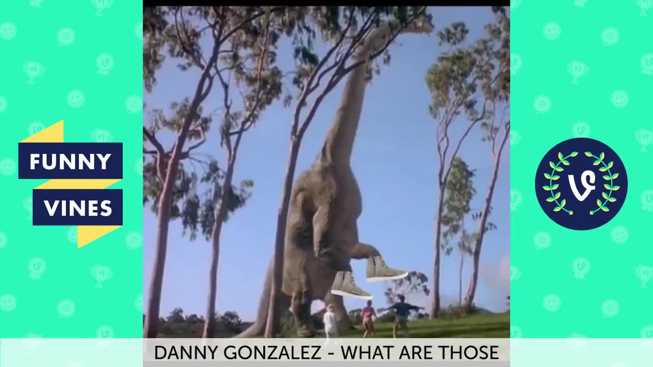 Danny Gonzalez Vine What Are Those