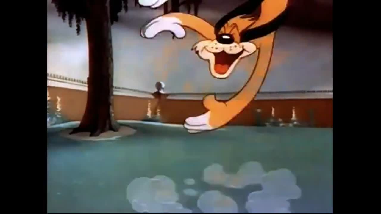 Ding Dog Daddy - Excited