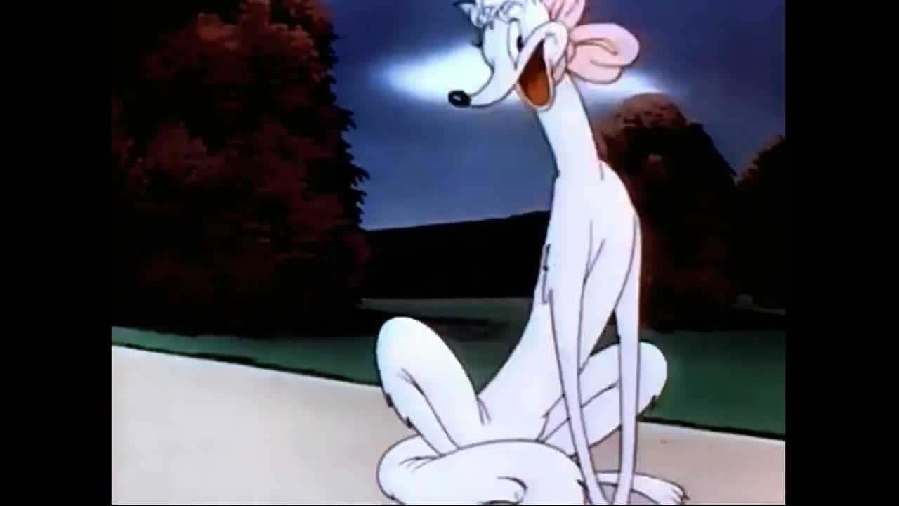 Ding Dog Daddy - Silly laugh