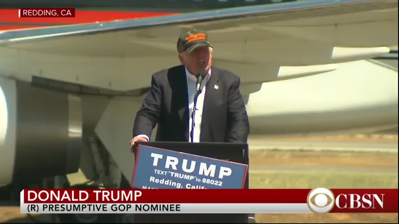 Donald Trump - Look at my African American here