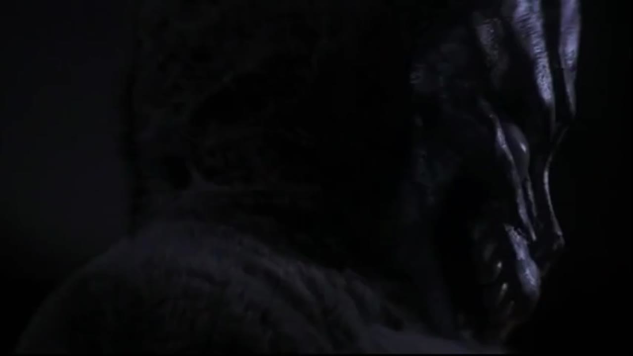 Donnie Darko - Why do you wear that stupid bunny suit?