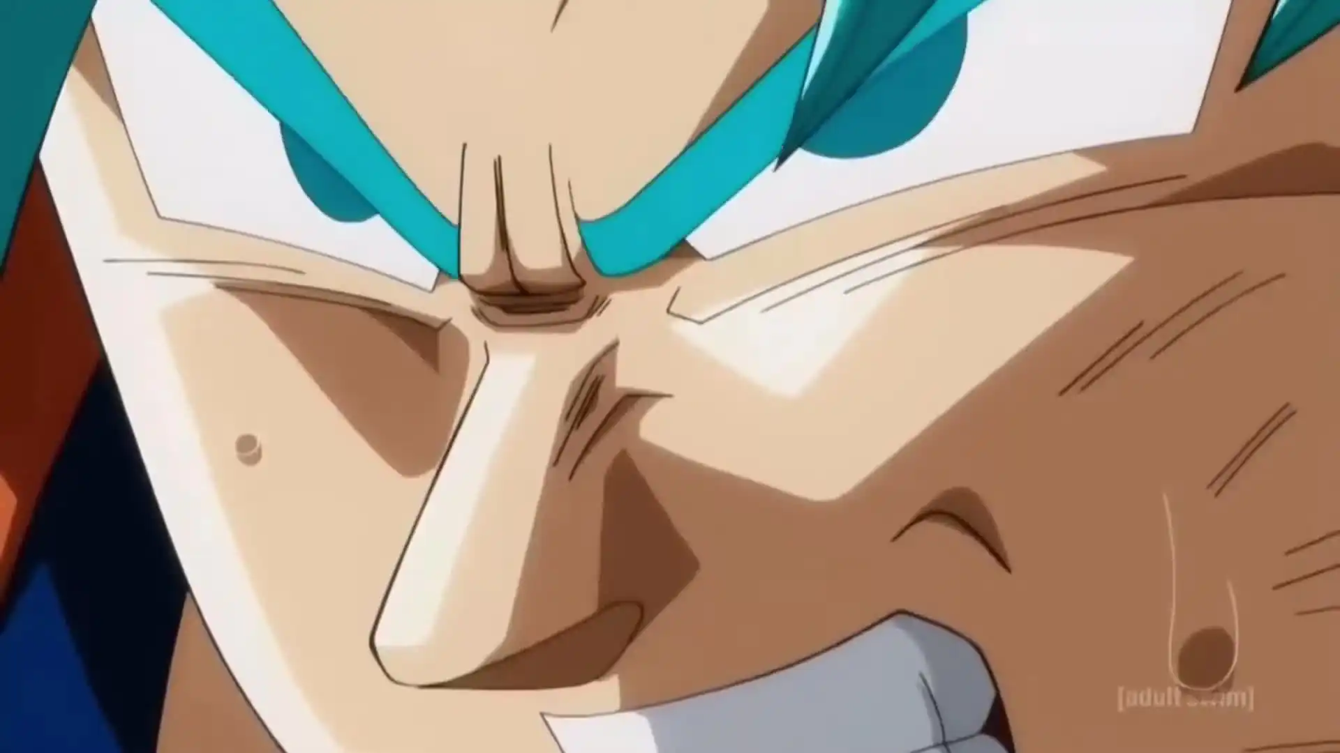 Dragon Ball Z - You'll pay for that!
