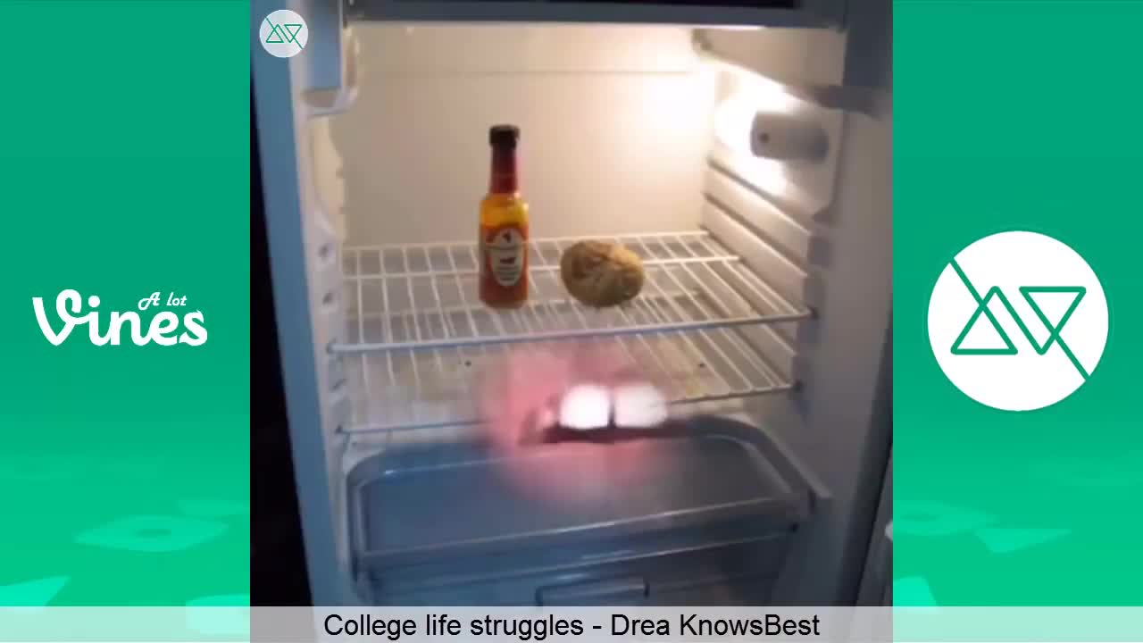 Drea KnowsBest Vine - No food in fridge