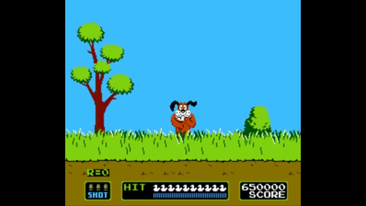 Duck Hunt Dog Laugh