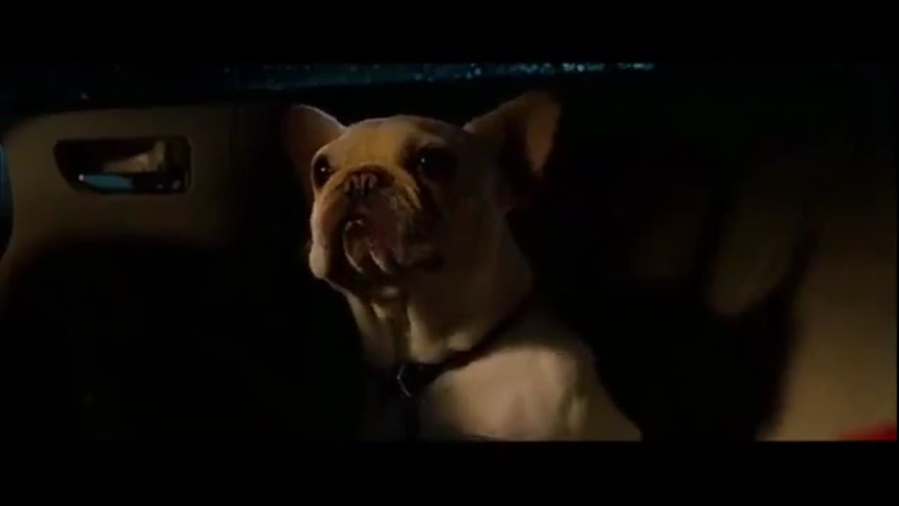 Due Date - Sonny Stop