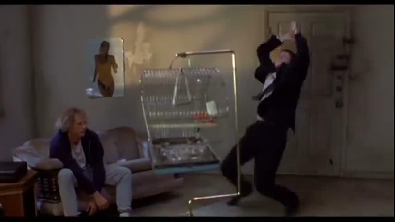 Dumb and Dumber - Rough day