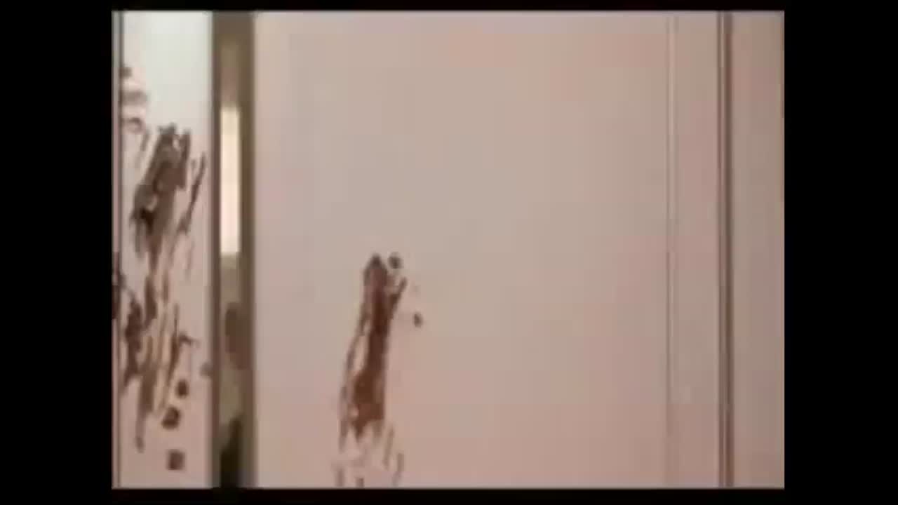 Dumb and Dumberer - There's shit everywhere