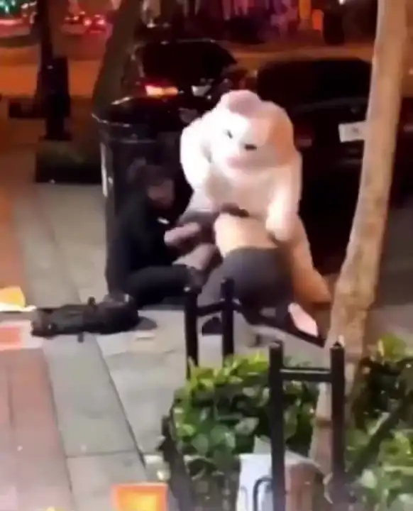 Easter Bunny fight