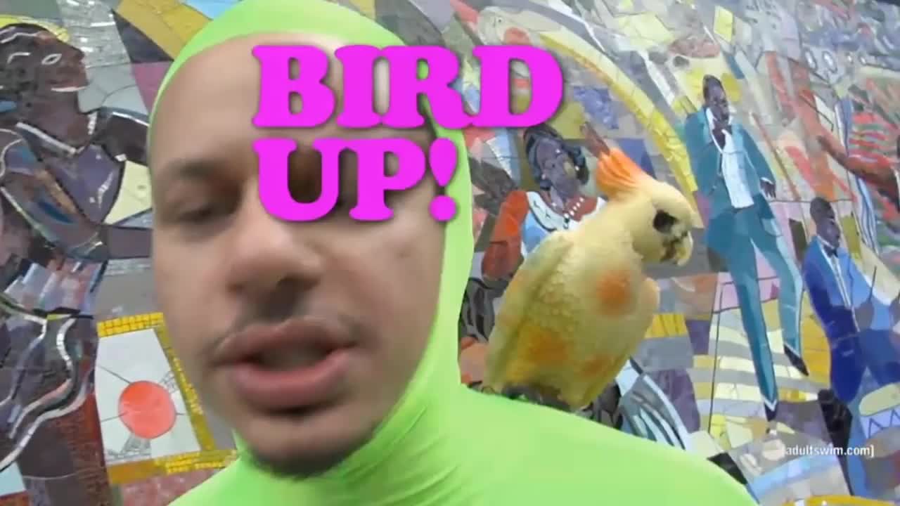Eric Andre Show Bird Up the Worst Show on Television