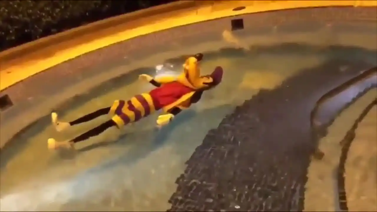 Goofy floating in pool