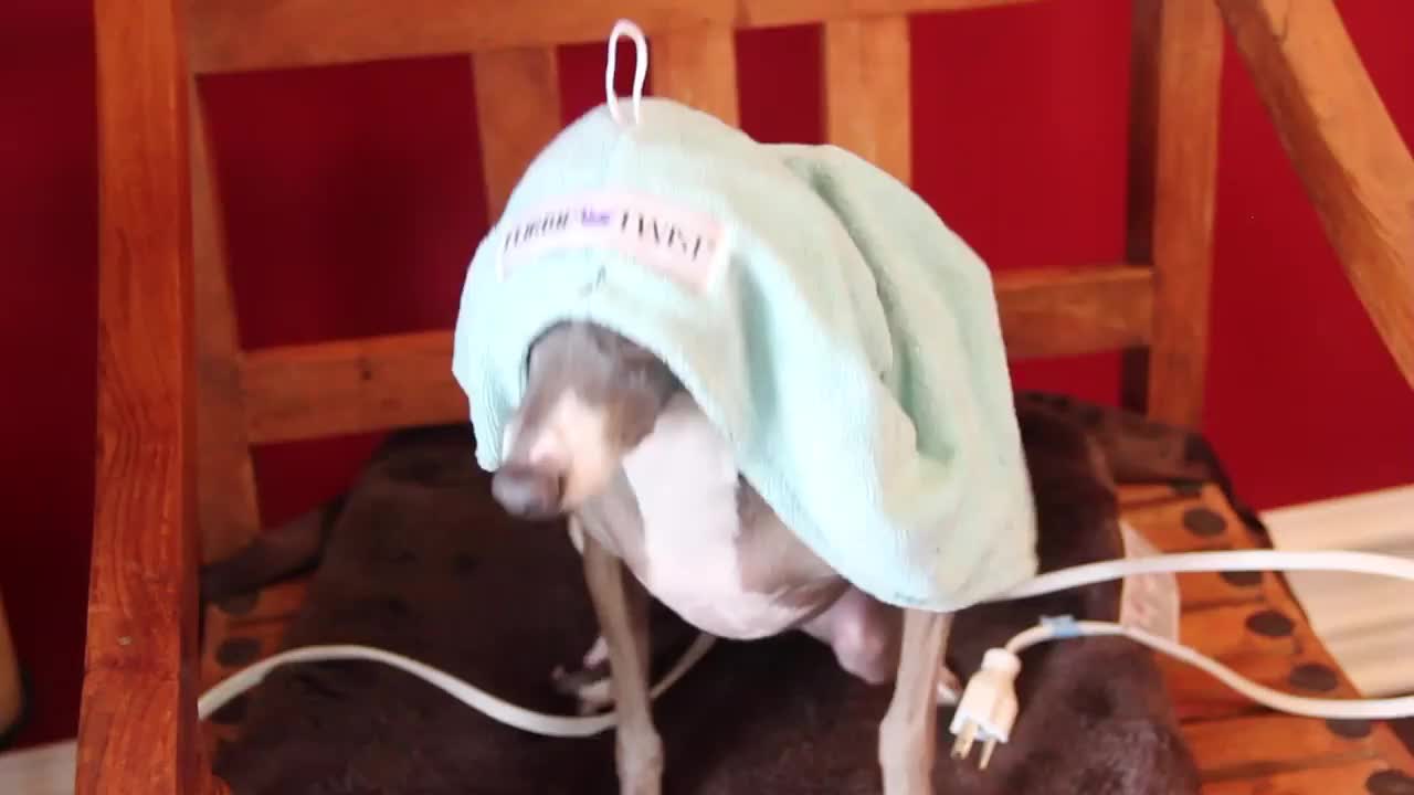 Jenna Marbles Okay Im Feeling Better Now a Little Bit Not Really