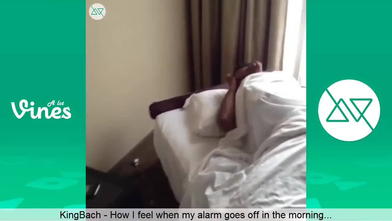 KingBach Vine - Morning Alarm