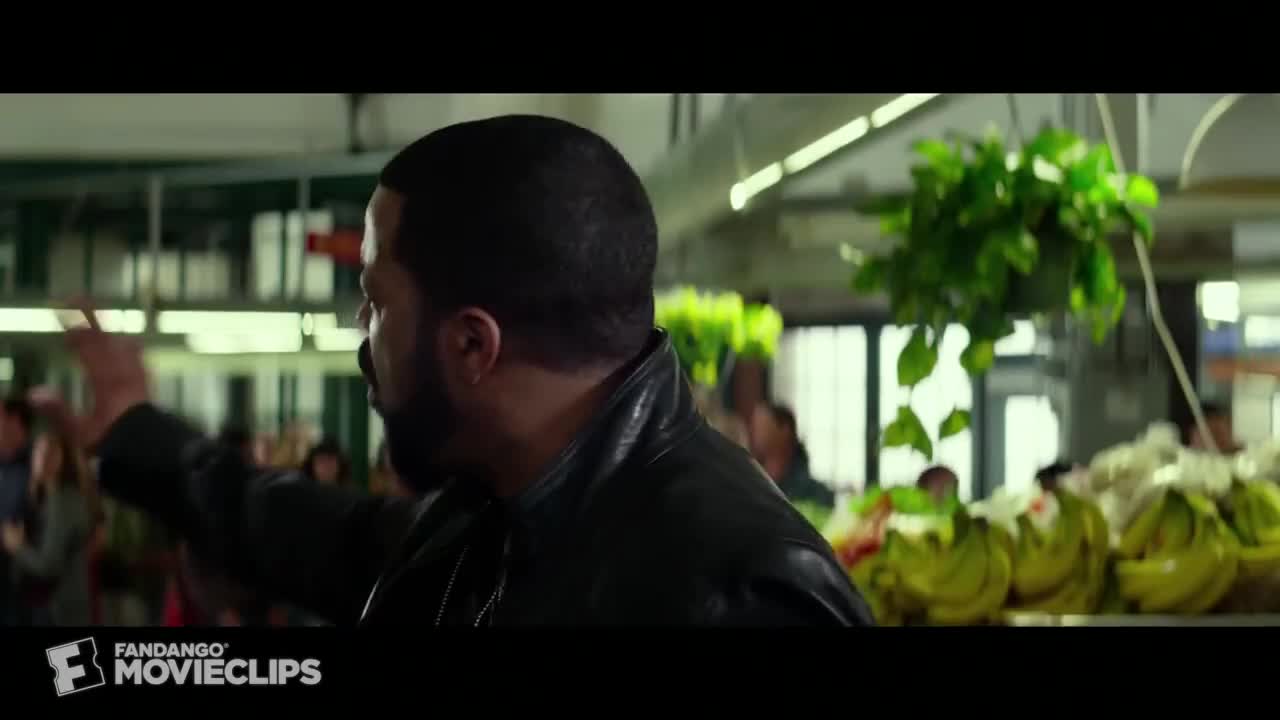 Ride Along Hold on