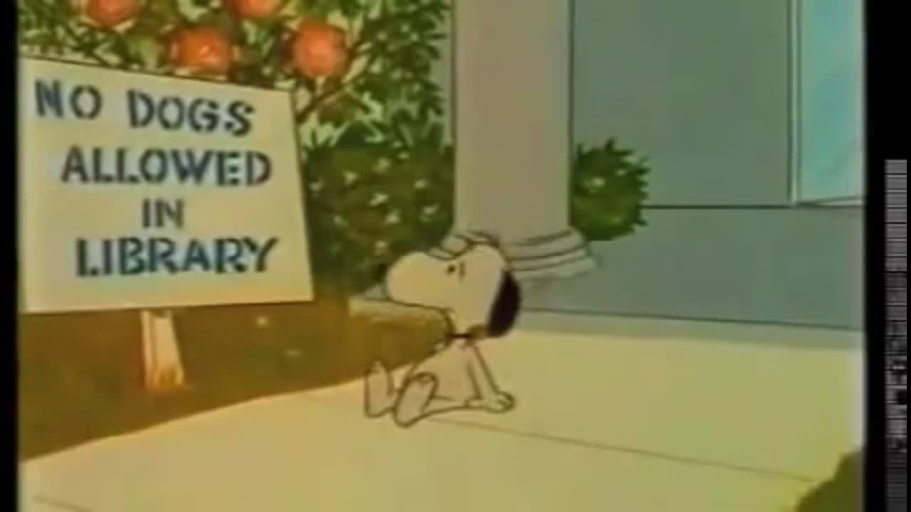 Snoopy Come Home No Dogs Allowed