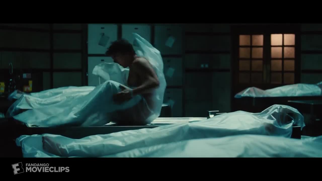 The Mummy Confused