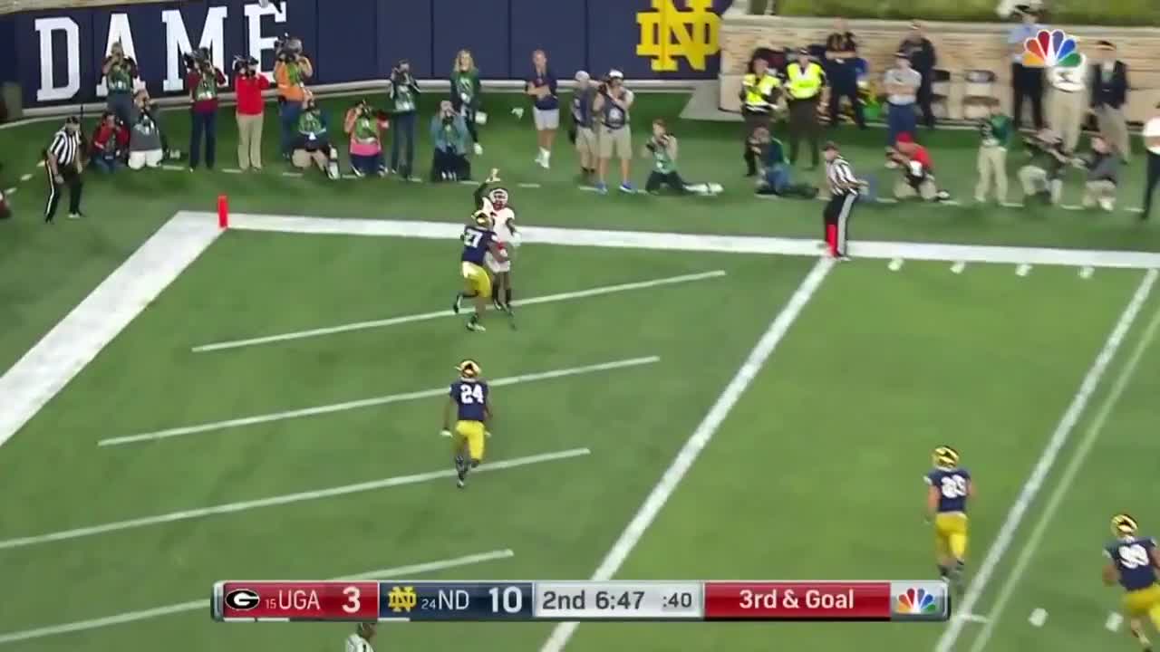 Uga Football Terry Godwin One Handed Td Catch