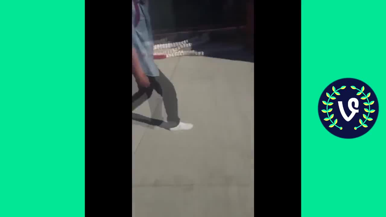 Vine - Damn Daniel