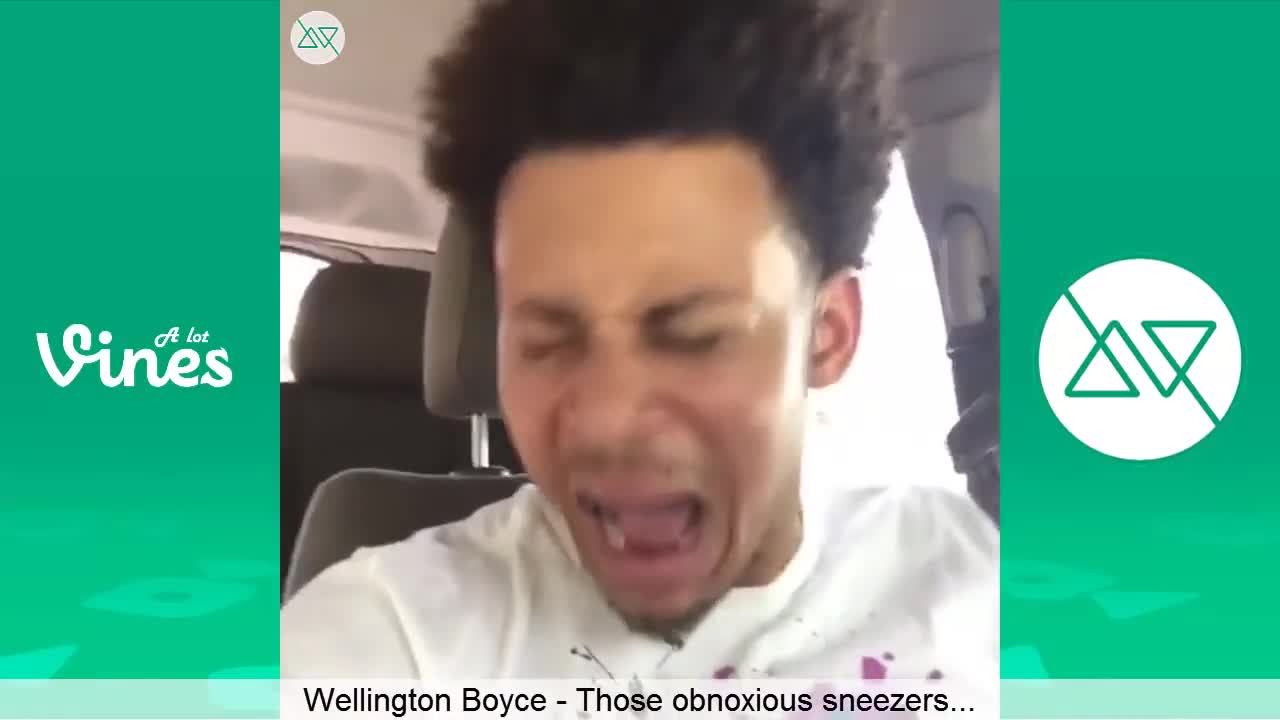 Wellington Boyce Vine - Obnoxious Sneezers